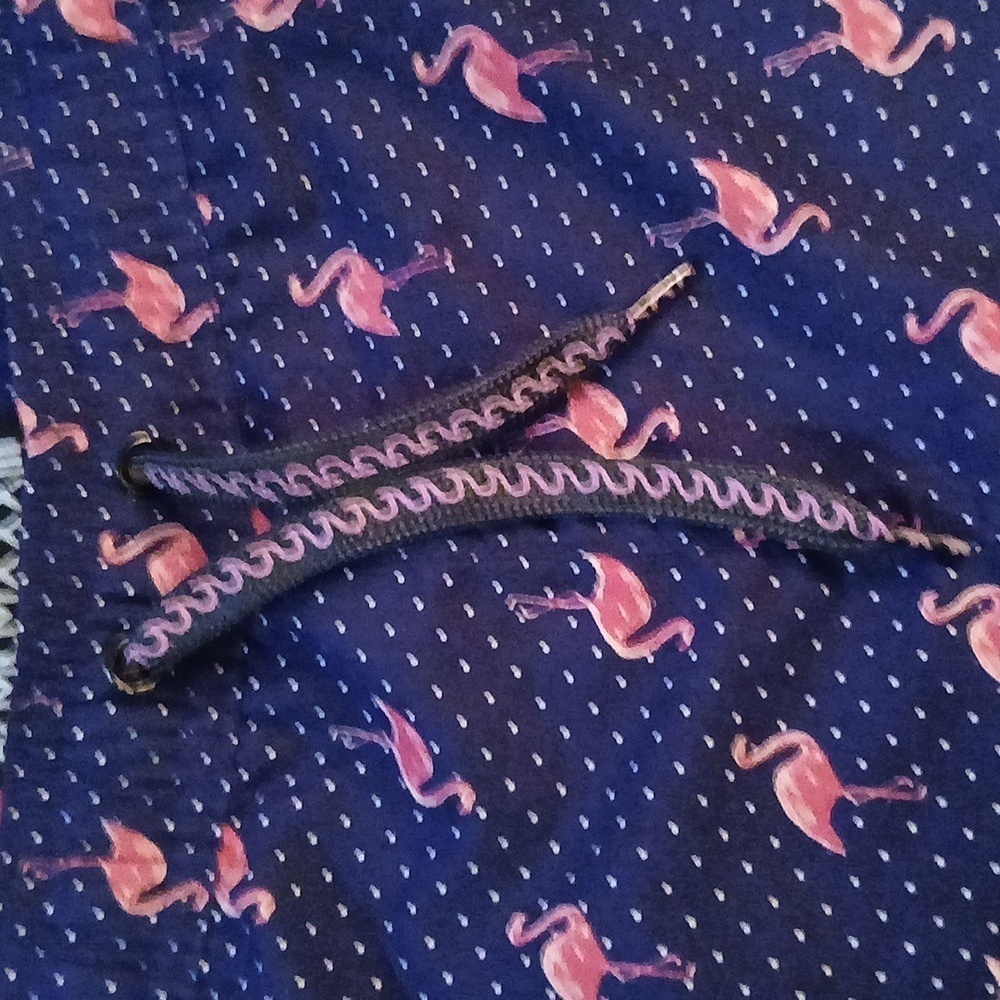 Navy Flamingo Print Swim Trunks - Picture 3 of 12